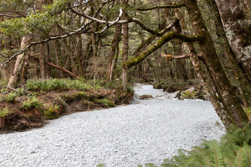 20221015T170101_1102