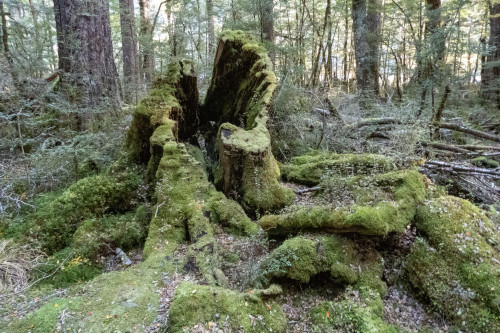 20221015T181158_1125