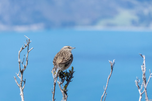 20221018T130504_0055