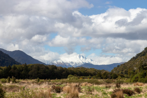 20221018T161318_0080