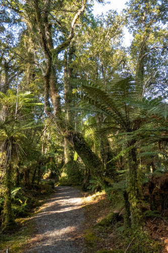 20221018T175854_0115