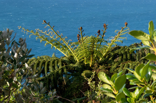 20221018T185943_0135