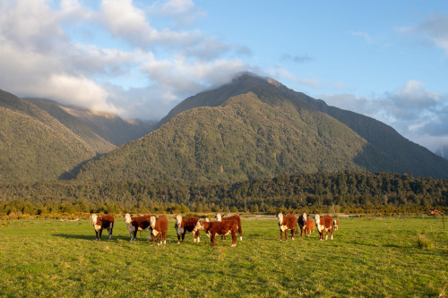 20221018T193431_0146