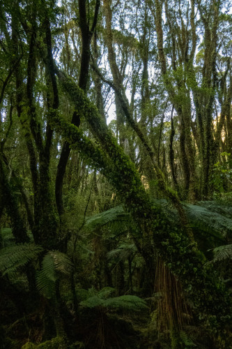 20221019T084257_0173