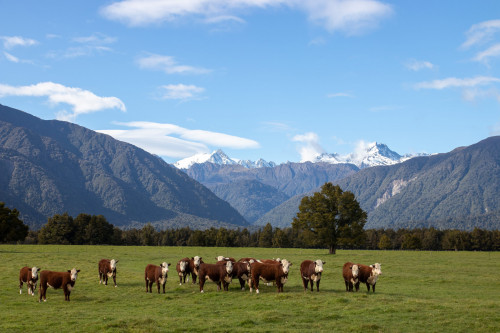 20221019T093921_0196