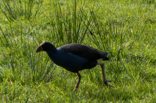 20221019T095715_0199