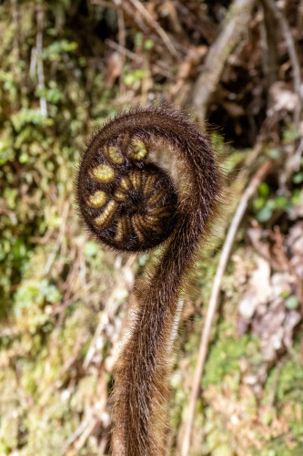 20221019T103352_0233