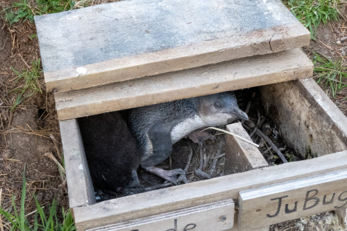 20221020T190232_0361