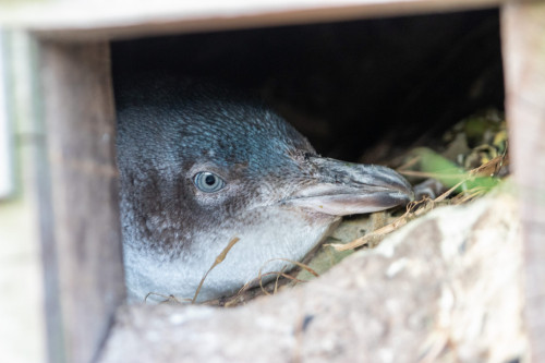 20221020T192709_0368