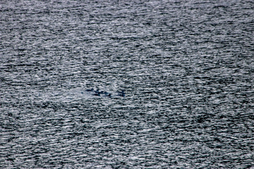 20221020T194632_0374