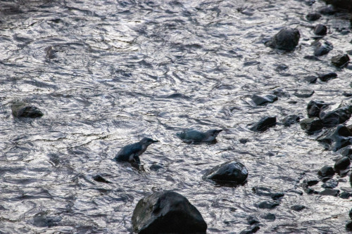 20221020T200140_0396