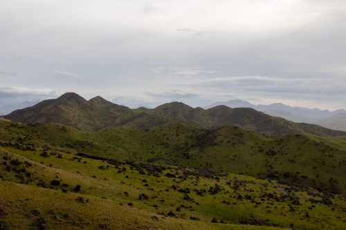 20221024T175103_0194