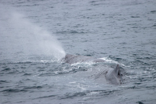 20221025T143842_0298