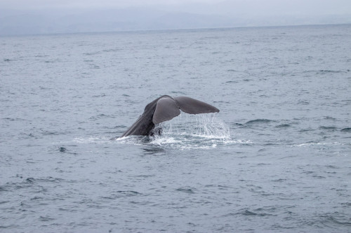 20221025T143935_0310