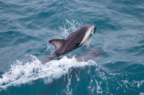 20221025T150729_0400