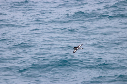 20221025T151455_0406