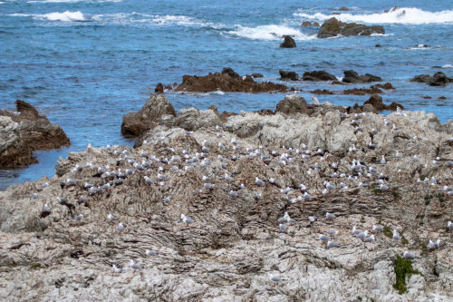 20221025T165654_0474