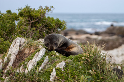 20221025T170257_0506