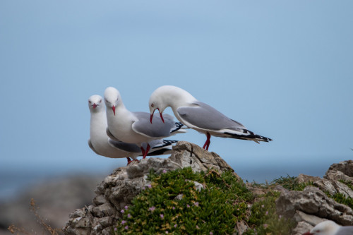 20221025T171229_0538