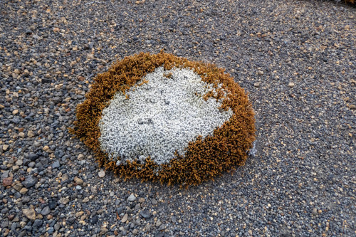 20221028T173423_2281