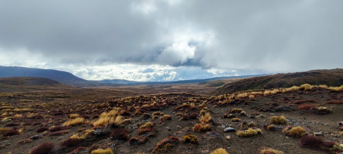 20221029T083115_2633