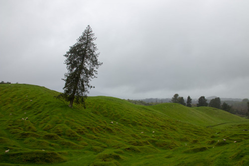 20221030T151000_0928