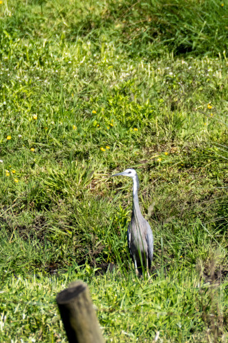 20221102T161730_2395