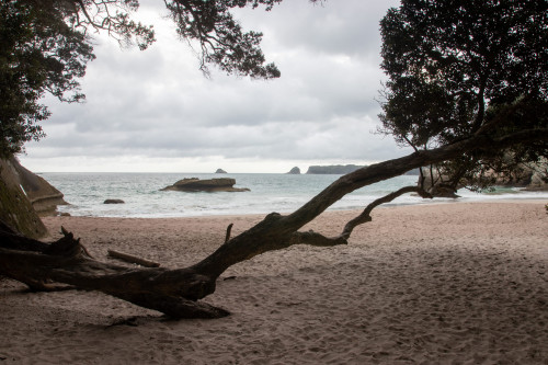 20221103T090300_1372