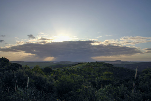 20221106T192316_1621-01-2