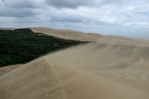 20221107T101331_2485