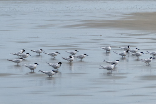 20221107T121112_2497