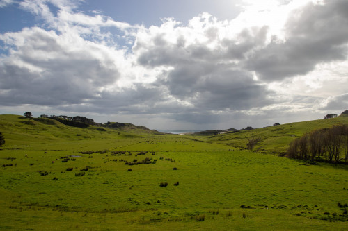 20221107T172026_1736