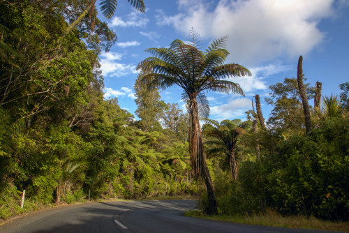 20221107T181015_1761-01-2