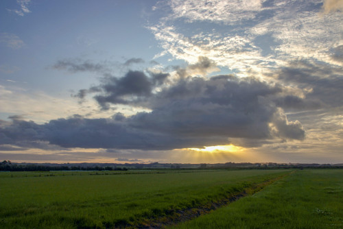 20221107T192803_1783-01-2