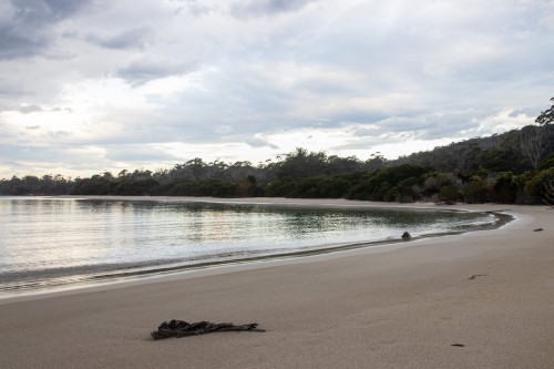 20221110T190115_0026