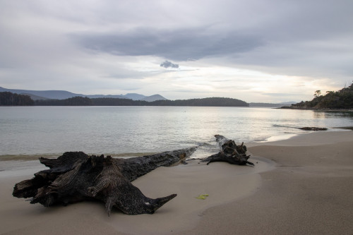 20221110T191317_0040