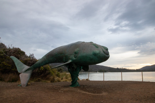 20221110T192142_0048