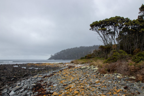 20221111T130037_0074