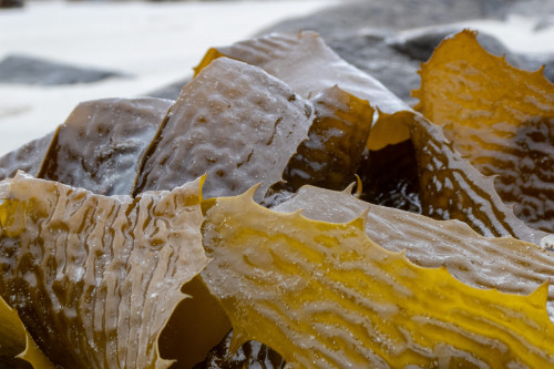 20221111T133742_0093