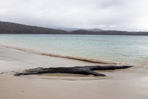 20221111T141824_0126