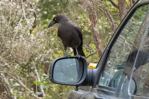 20221111T152641_0169