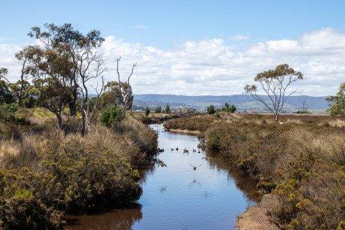 20221112T142811_0210