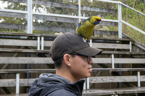 20221113T133729_0485