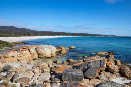 20221116T085013_0795