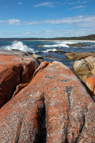 20221116T093456_0833