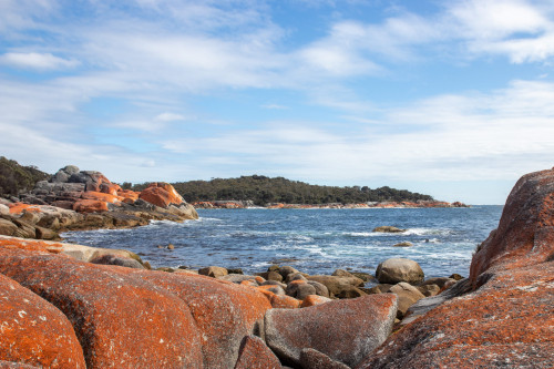 20221116T094653_0847