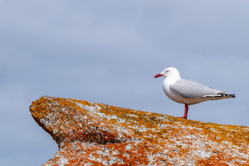 20221116T094854_0852