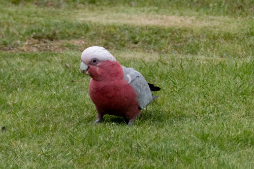 20221116T175033_0996