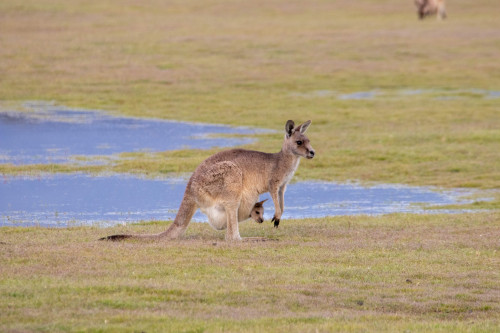 20221116T185810_1027