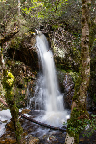 20221117T163915_00026